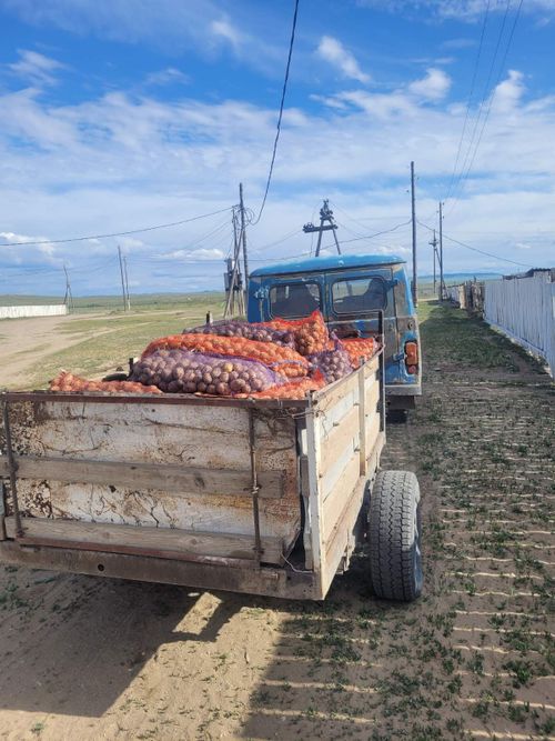 В Тес-Хеме 206 семей примут участие в губернаторском проекте «Народный картофель»