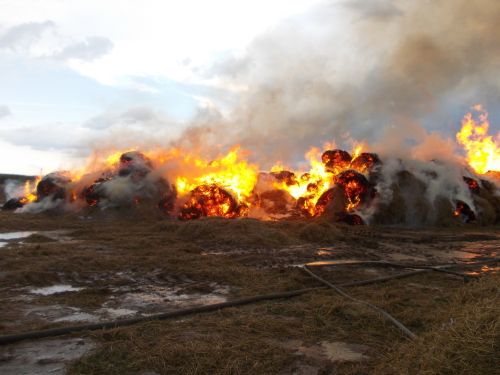 В Туве усиливают профилактику возгораний сена