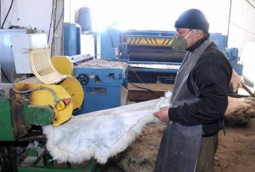 Запуск новой программы поддержки малого и среднего бизнеса