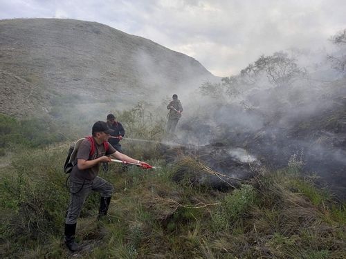 Өрттер өжүрер талазы-биле хемчеглер планын бадылаан