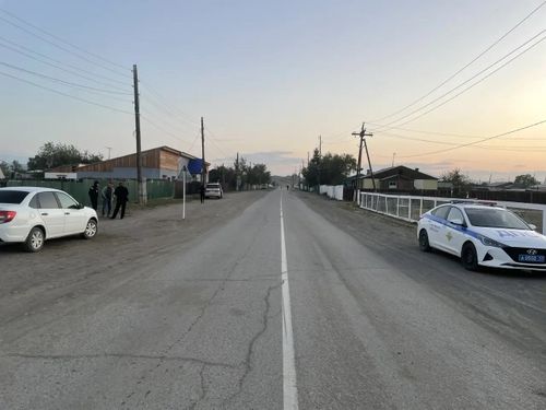 В Туве за сутки пресекли 140 нарушений