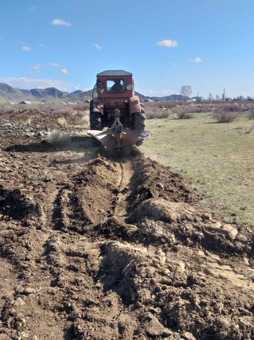 В Туве продолжаются работы по предотвращению лесных пожаров