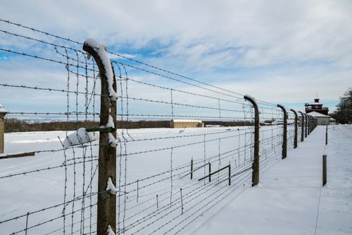 Сегодня отмечается Международный день освобождения узников фашистских концлагерей