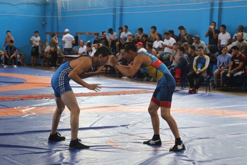 В Туве пройдет чемпионат по вольной борьбе среди мужчин