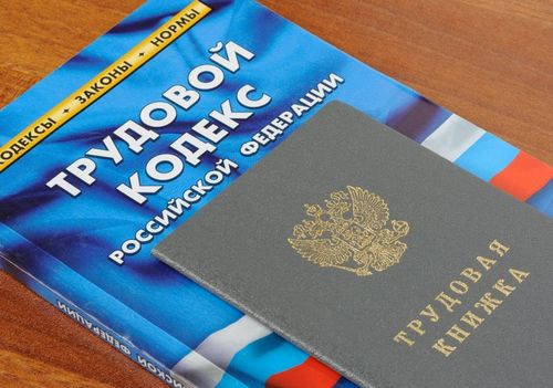 «Единая Россия» вместе с Минтрудом подготовят поправки в закон о занятости и трудовой кодекс