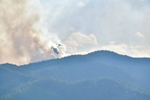 В Туве сохраняется режим ЧС из-за лесных пожаров