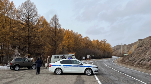 В Туве прошло межведомственное патрулирование лесного фонда
