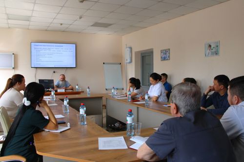 Федеральные эксперты встретились с медицинским сообществом Тувы