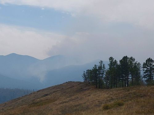 В Туве в тушении лесных пожаров планируют использовать самолет Ан-26 «Циклон» для искусственного создания осадков