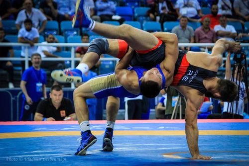 Борьба продолжается: В Кызыле состоится Всероссийский турнир по вольной борьбе