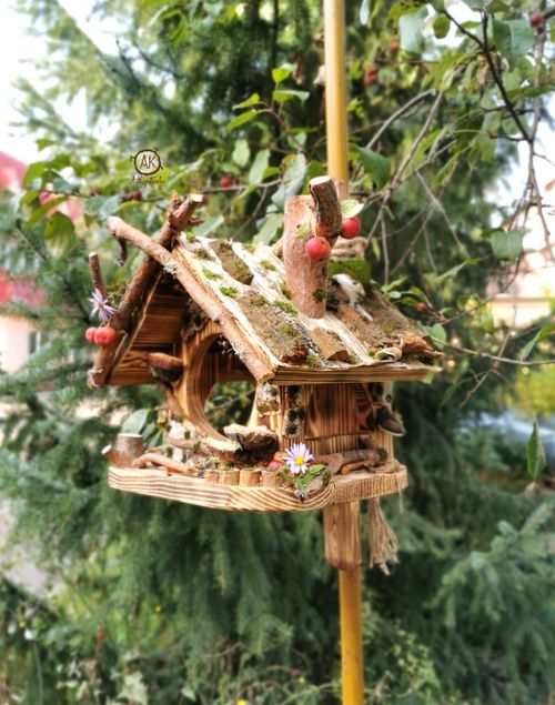 В Туве объявили конкурс на лучшую кормушку для птиц