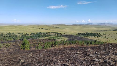 Глава Тувы следит за ситуацией с лесными пожарами в республике