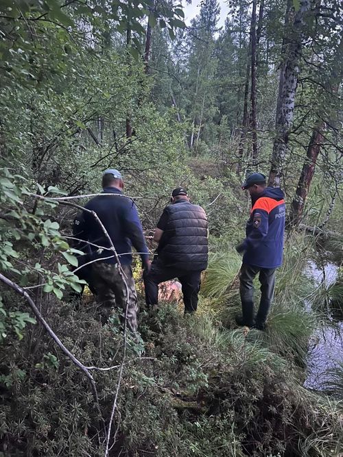 Спасатели Тувы нашли тело мужчины, потерявшегося в Тоджинском районе