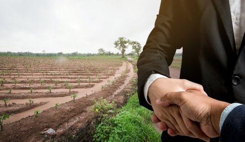 В Туве введено в оборот около 900 га сельхозземель благодаря нацпроекту