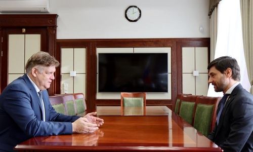 Полпред провёл рабочую встречу с первым заместителем председателя Комитета СФ по экономической политике Алексеем Синицыным