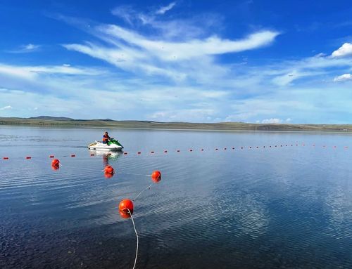 Таңдыда дериттинген эштир чер ажыттынган