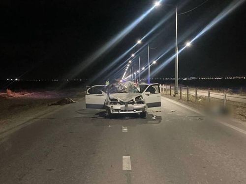 В правительстве Тувы продолжают борьбу с безнадзорным выпасом скота