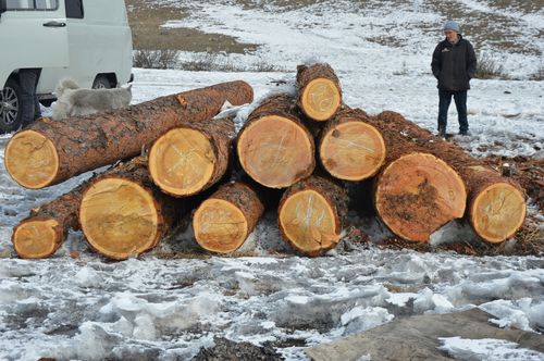 В Туве лесные инспекторы и МВД проводят плановые патрулирования