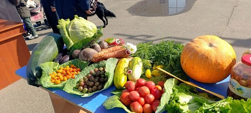 В Тес-Хемском районе подвели итоги конкурса «Огород — семье доход»