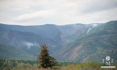В Туве сухие грозы стали причиной пожаров