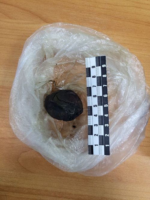 В Кызыле таможенники пресекли контрабанду дериватов