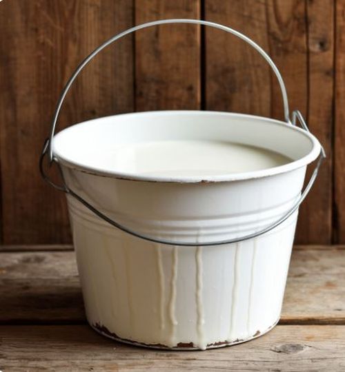 В Пий-Хемском районе стартовал проект «Молочная деревня»