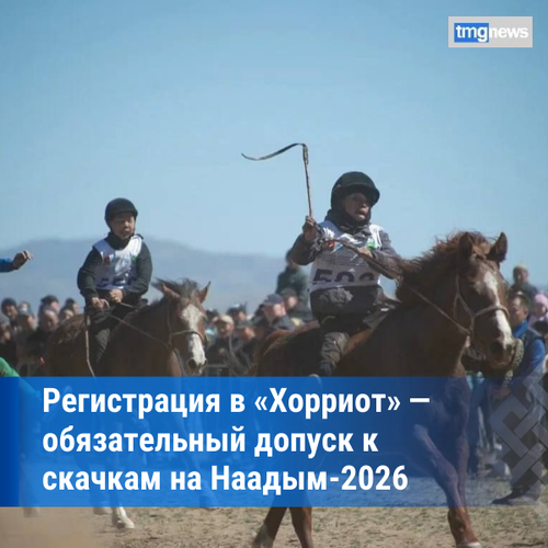 Наадым-2026: лошади-участники скачек должны быть зарегистрированы в системе «Хорриот»