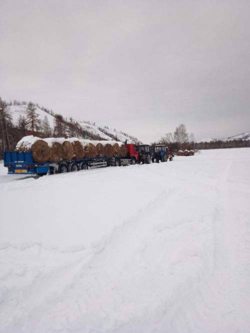 Глава Тувы поручил распределить между хозяйствами корма из республиканского резерва