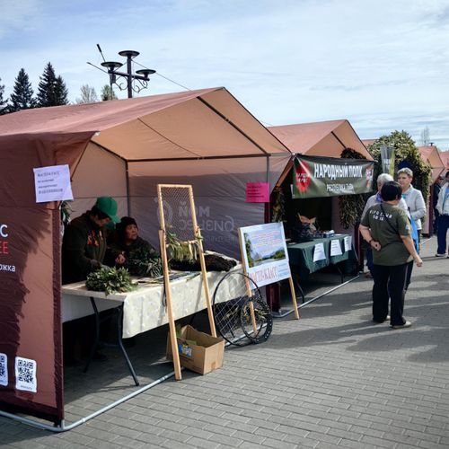 День Победы в Кызыле: 80 лет памяти и единства