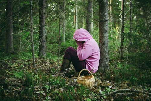 Как не потеряться в лесу: практические советы