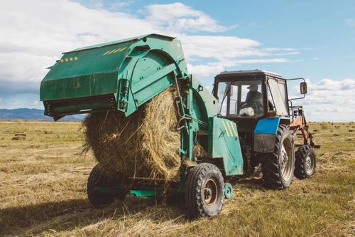 В Туве в прошлом году на естественных сенокосах заготовили 118 тыс. тонн сена