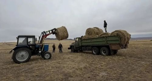 В Эрзинском районе завершили кормозаготовительную кампанию