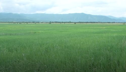 В Туве продолжают восстанавливать оросительные системы