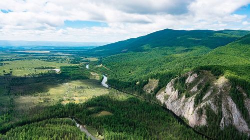 Барун-Хемчикский лес полностью избавили от очага вредителей