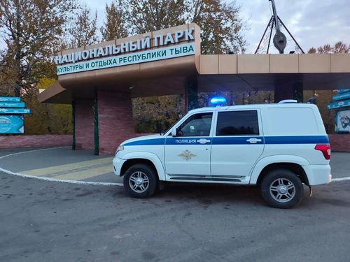 В Национальном парке Кызыла замечен медведь: полиция просит горожан воздержаться от посещения
