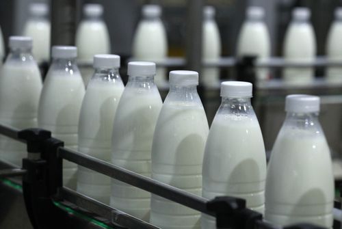 В Туве растет производство молока за счет увеличения господдержки по проекту «Молоко Тувы»