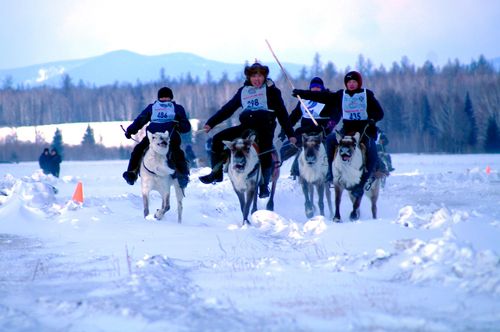 Тожуга ивижилерниң чаңчылчаан фестивалы болуп эртер