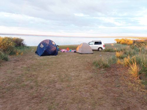 В Туве пьяная автолюбительница совершила наезд на спящую женщину
