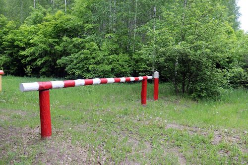 Жителям Тувы напомнили о действии временного ограничения на посещение лесов