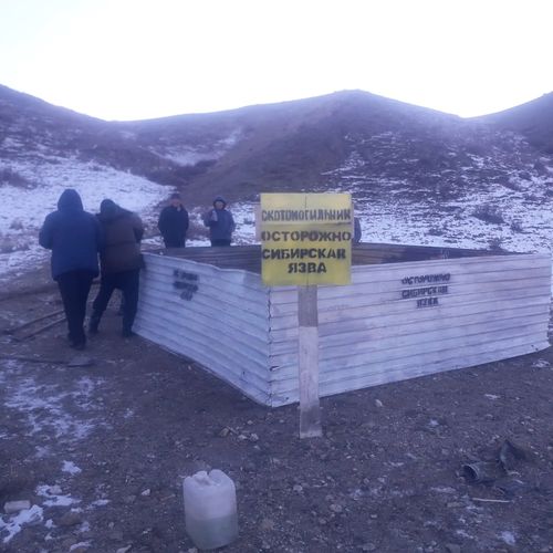 В Барун-Хемчикском районе реконструируют места захоронения животных, павших от сибирской язвы