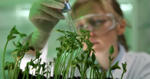 В Туве появится сельскохозяйственный образовательный кластер