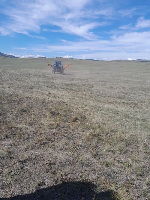 Чеди-Хольский район приступил к кормозаготовке