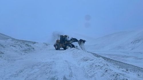 Дүвүлүг хаттар малчын турлагларже аргыжылганы нарыыдаткан