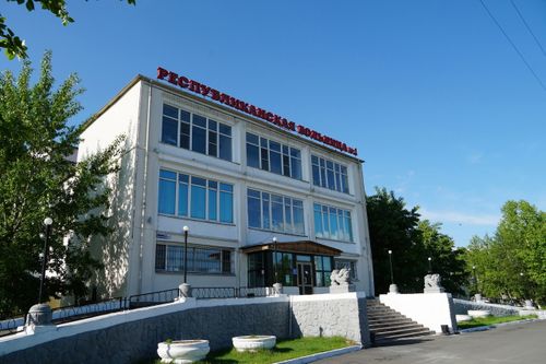 Двух детей, госпитализированных после ДТП со школьным автобусом, выписали из больницы