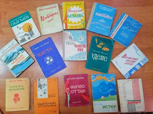 В Туве пройдет презентация электронной библиотеки «Tuva_read»