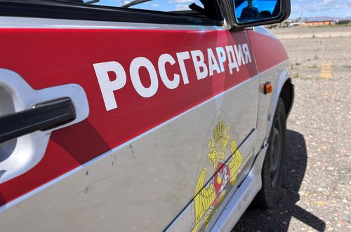 В Кызыле задержали женщину, находящуюся в федеральном розыске