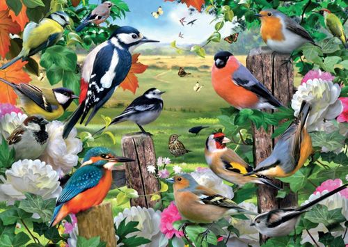 Международный день птиц 2024: история и традиции праздника