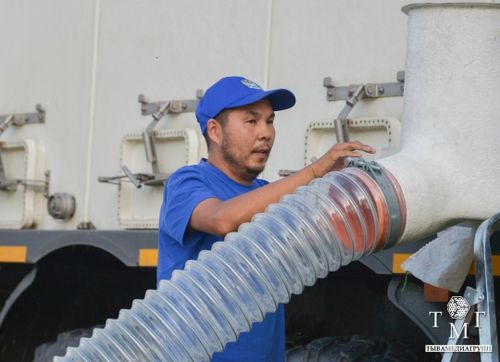 Река Енисей пополнилась молодью стерляди