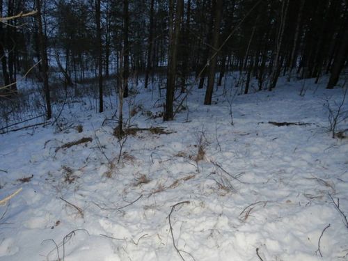 В Туве местный житель подозревается в причинении смерти по неосторожности на охоте