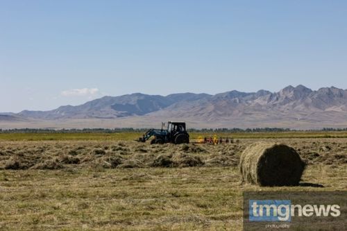 Служба ГО и ЧС напоминает о важности соблюдения правил пожарной безопасности при заготовке сена